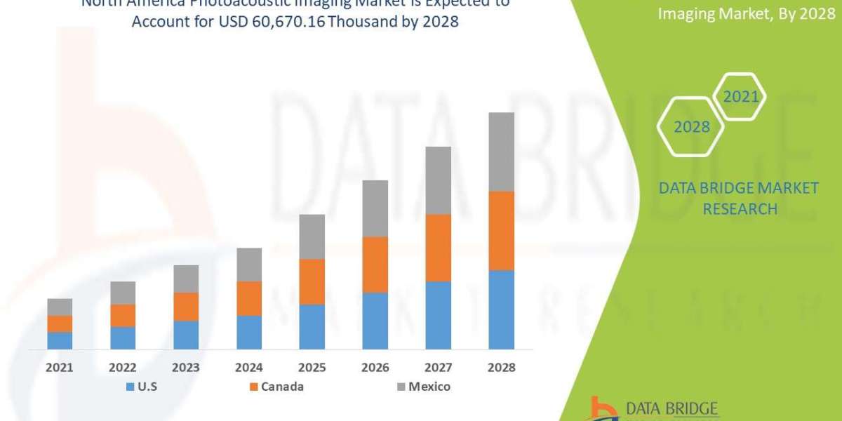 North America Photoacoustic Imaging Market   Production, Demand and Business Outlook 2028