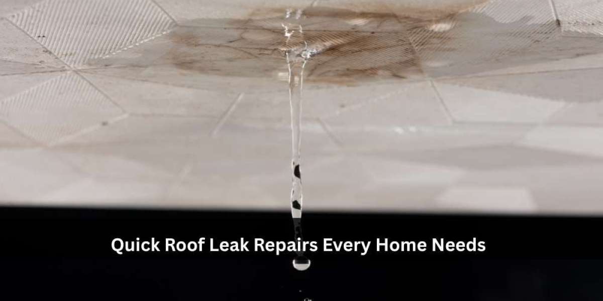 Quick Roof Leak Repairs Every Home Needs