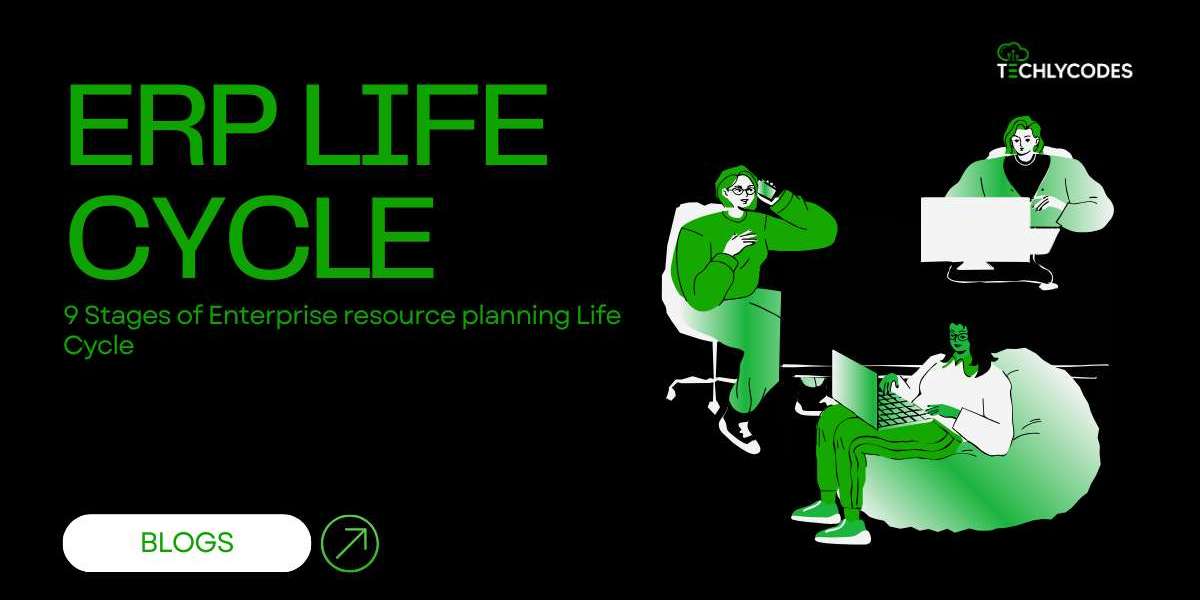 The Life Cycle of an ERP: A Comprehensive Overview