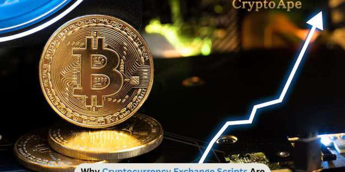 Why Cryptocurrency Exchange Scripts Are Revolutionizing the Digital Asset Industry