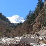 sherpa teams