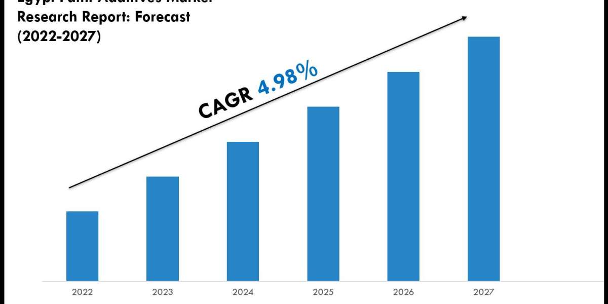 Egypt Paint Additives Market Insights 2022–2027: Value, Share & Analysis