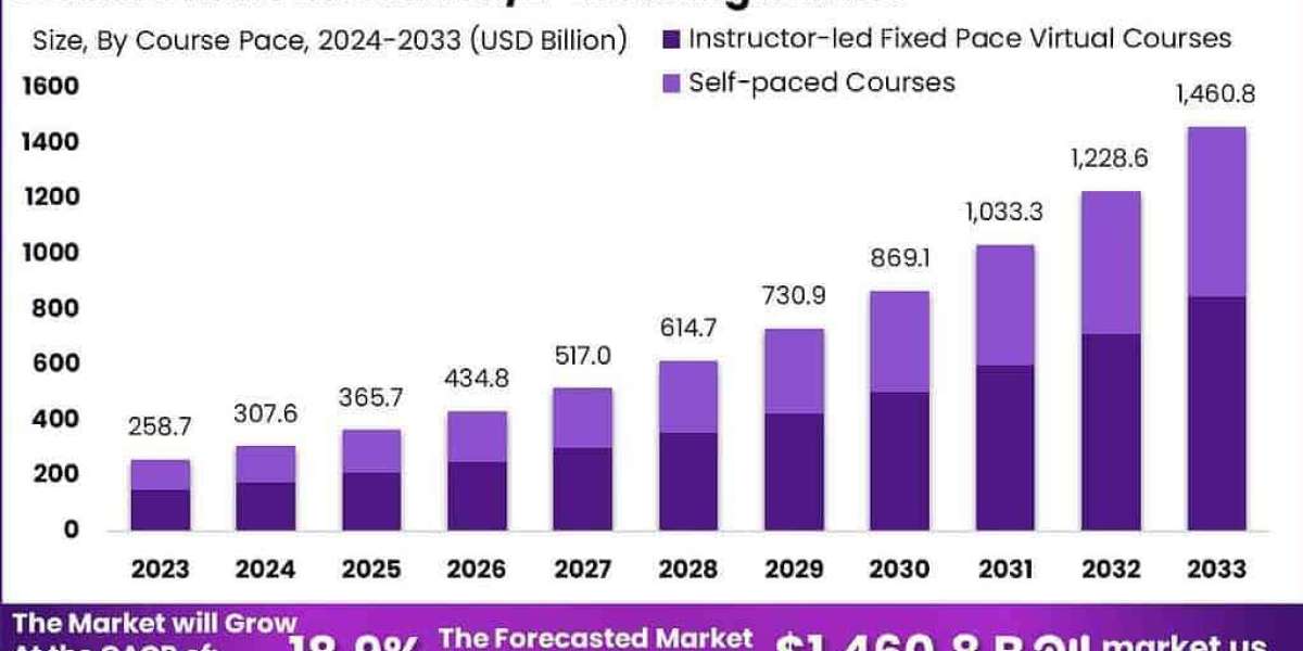 Online Education Horizon: Global Market 2024-2033
