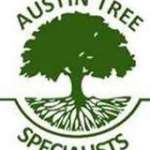 Austin Tree Specialists