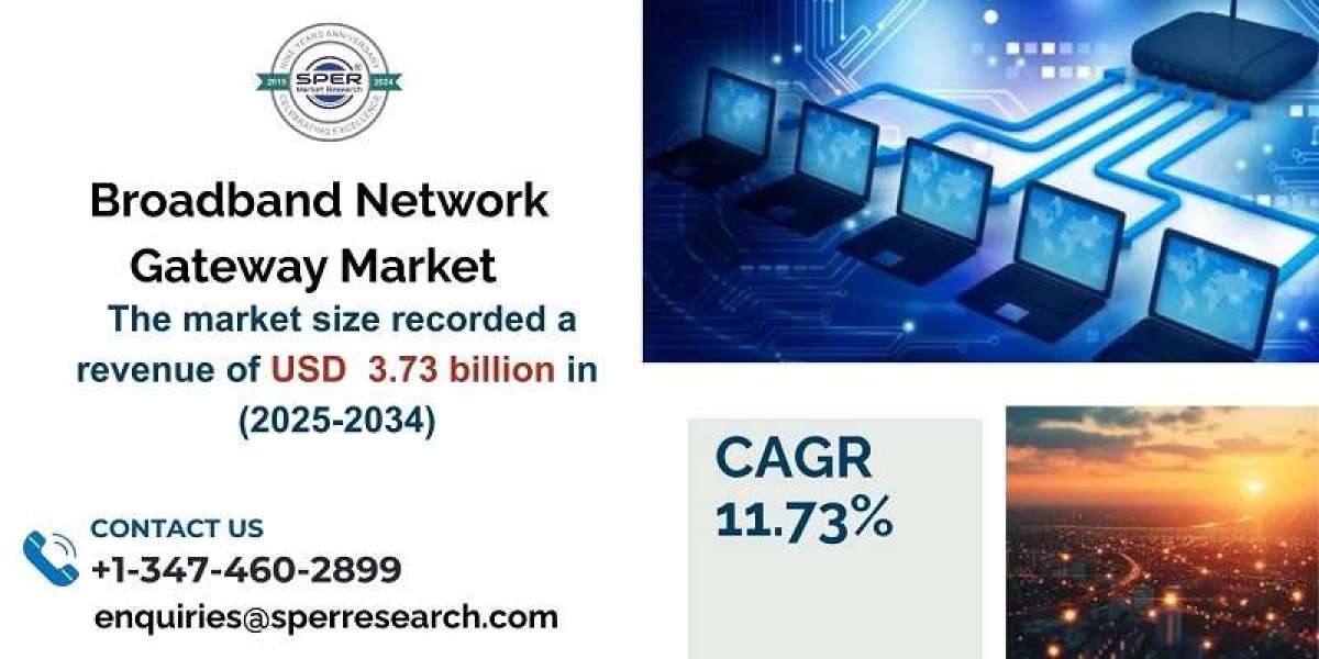 Broadband Network Gateway Market Analysis: Share and Forecast 2034