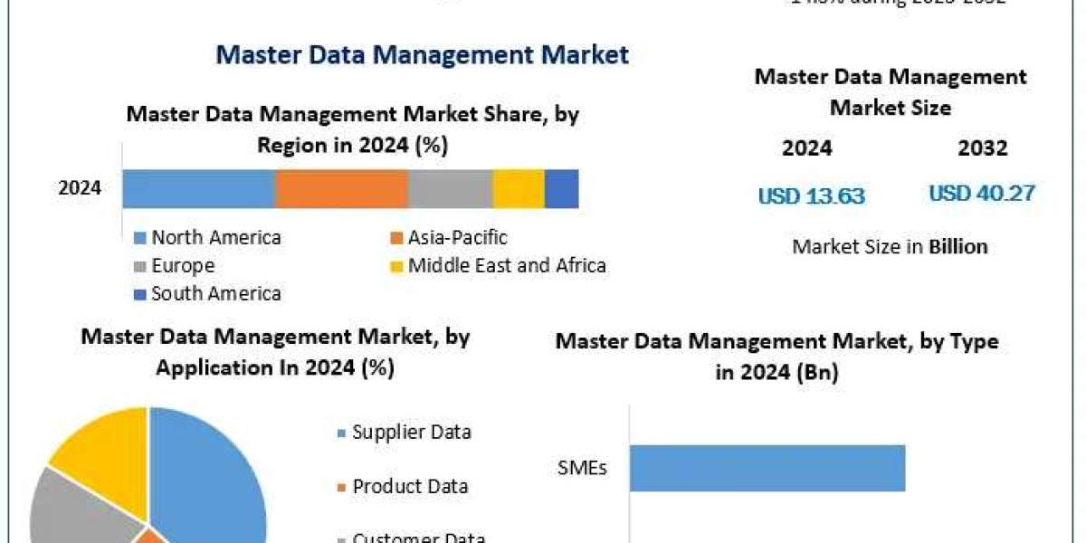 Master Data Management Market Outlook: A Strategic Guide for 2025 to 2032