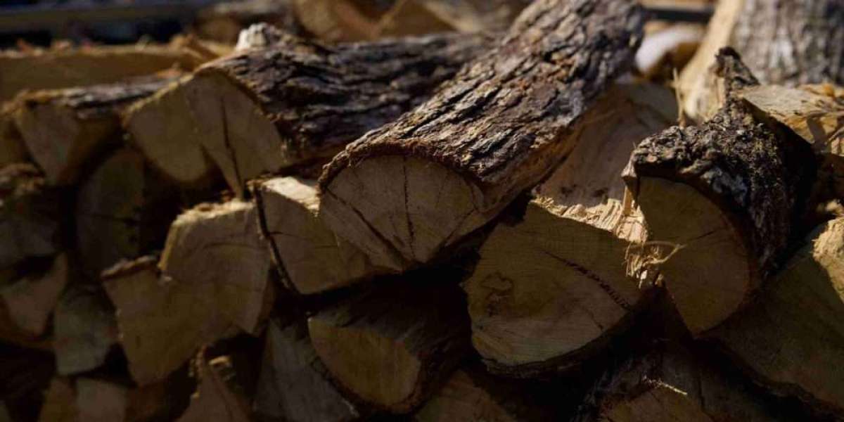 The Ultimate Guide to Camping Firewood: Stay Warm, Safe, and Eco-Friendly