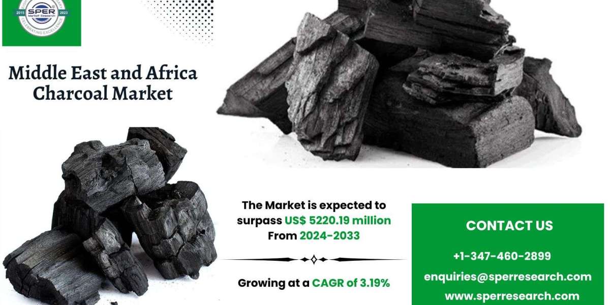 Regional Insights on Middle East and Africa Charcoal Market Size and Growth