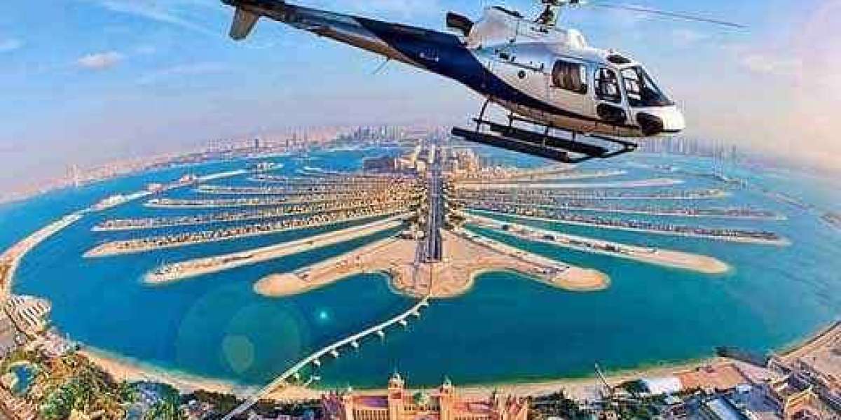 Private Abu Dhabi City Tour: Discover the Capital’s Soul
