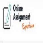 online assignment expert