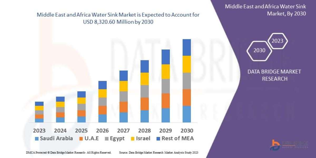Middle East and Africa Water Sink Market Business Shares and Outlook 2030