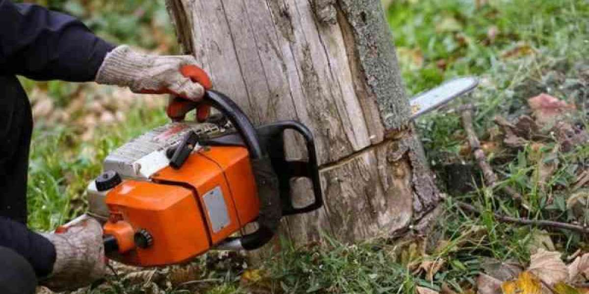 The Ultimate Guide to Tree Removal
