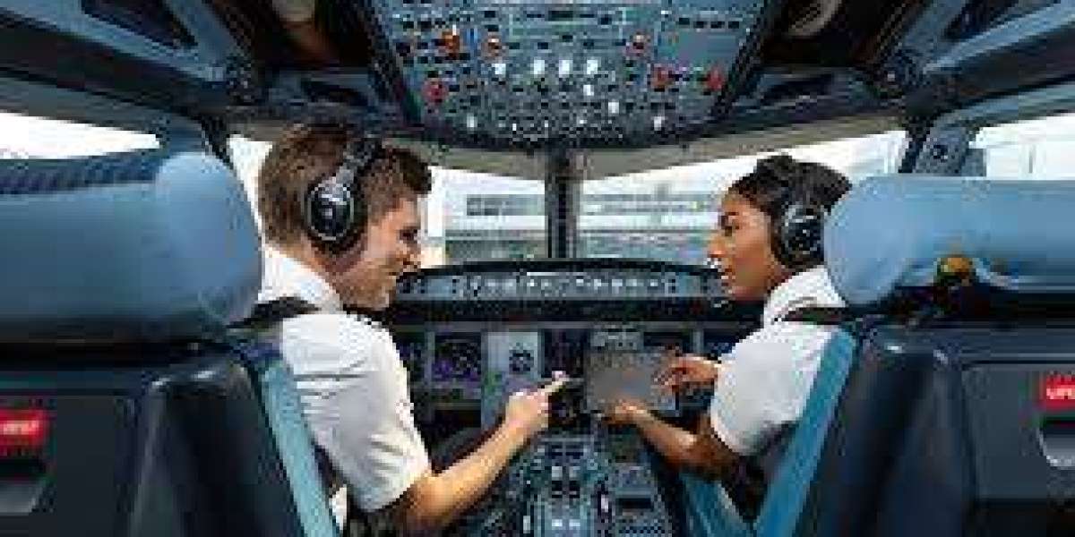 Pilot: The Skilled Navigators of the Skies
