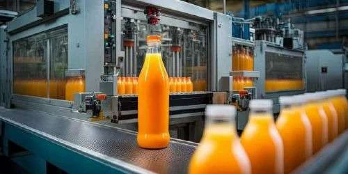 Setting up a Mango Pulp Manufacturing Plant: Detailed Report and Cost Breakdown