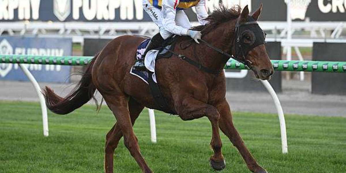 Dominate Race Day with Top Caulfield Racing Tips