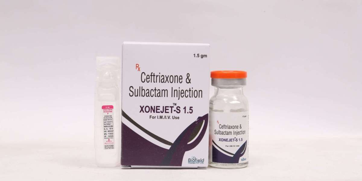 Report on Ceftriaxone Manufacturing Plant- Detailed Process Flow