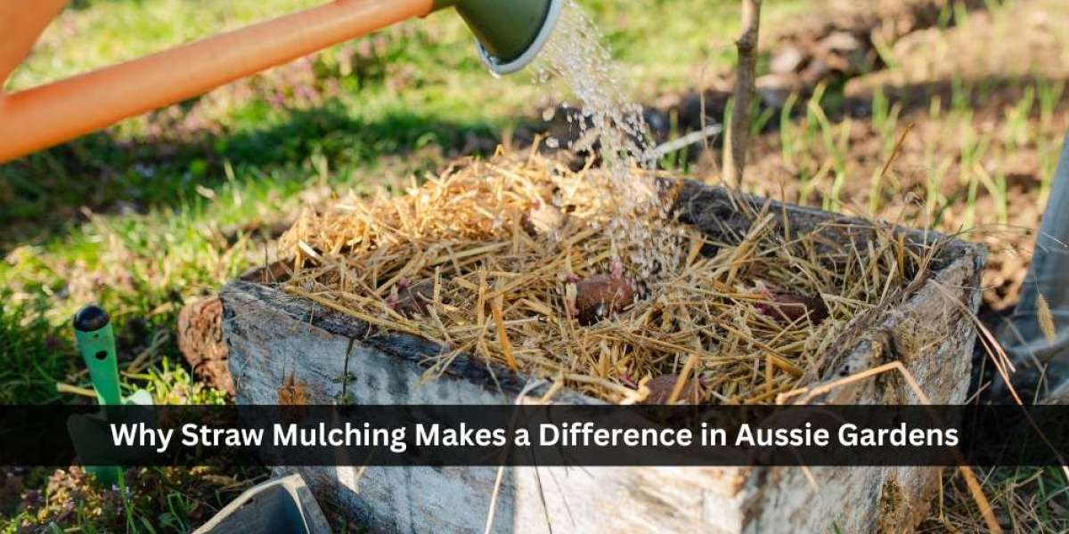 Why Straw Mulching Makes a Difference in Aussie Gardens