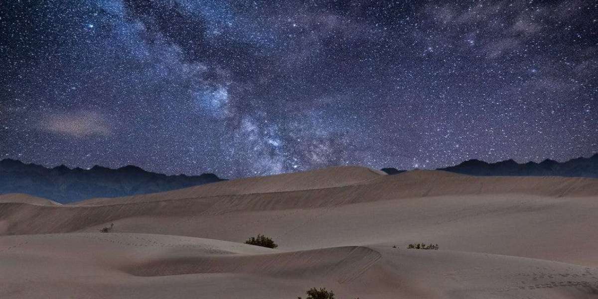 A Night Under the Stars: Full-Course Dinner and Dune Tour Dubai Highlights