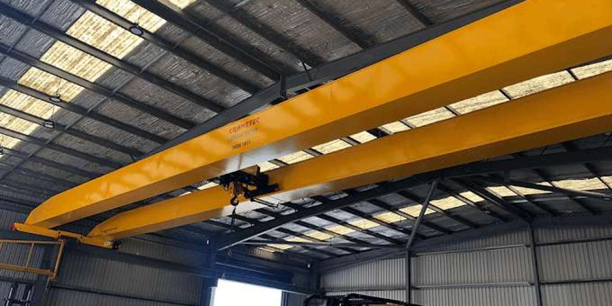 How to Choose the Best Overhead Crane Manufacturers in Adelaide