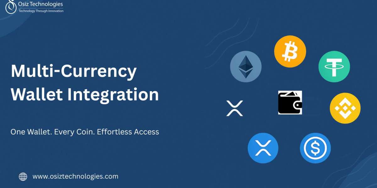 Why Multi-Currency Wallets Are the Future of Fintech