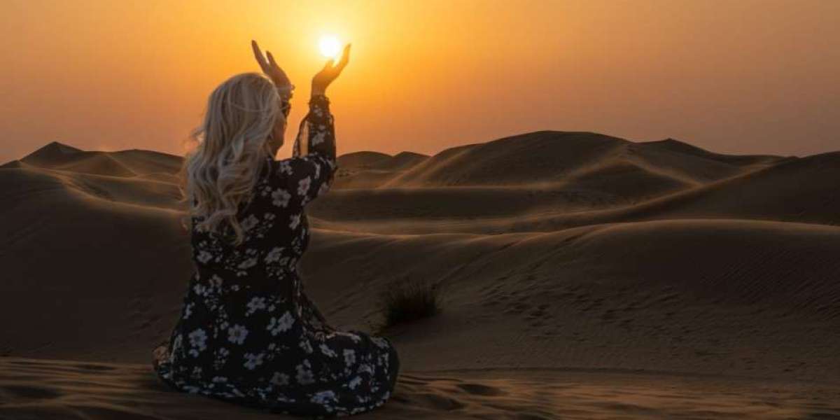 Abu Dhabi City Tour Package for New Visitor