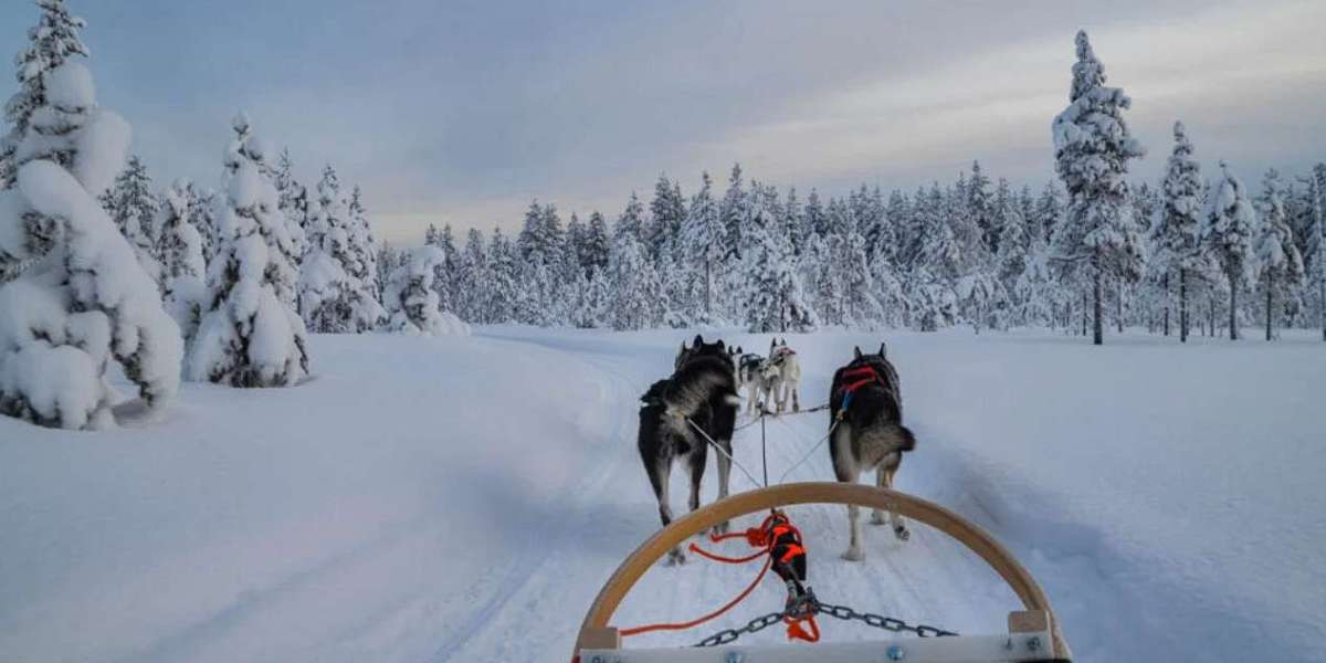 Rovaniemi Winter Magic Awaits – Explore Lapland with iFlyGo