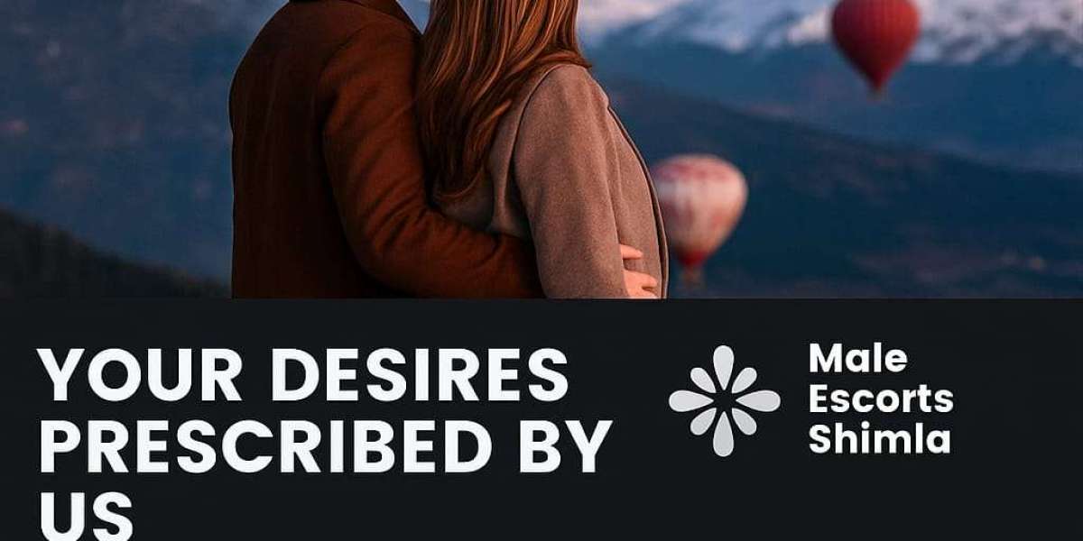 ? Male Escorts in Shimla – Companionship in the Heart of the Hills