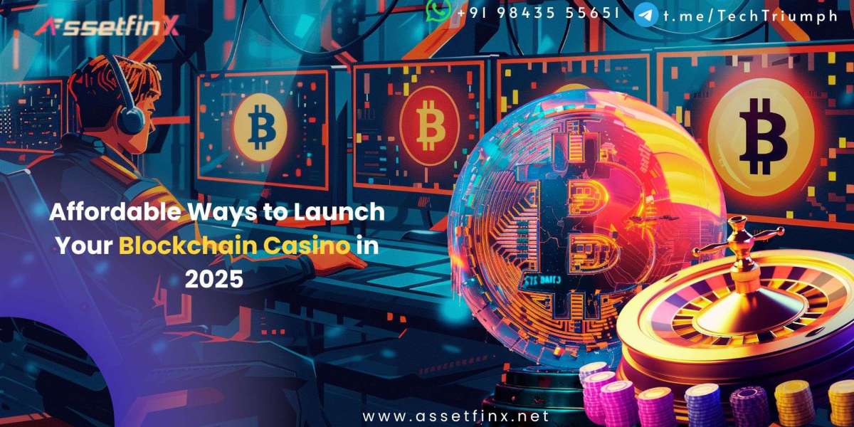 Affordable Ways to Launch Your Blockchain Casino in 2025 - Assetfinx