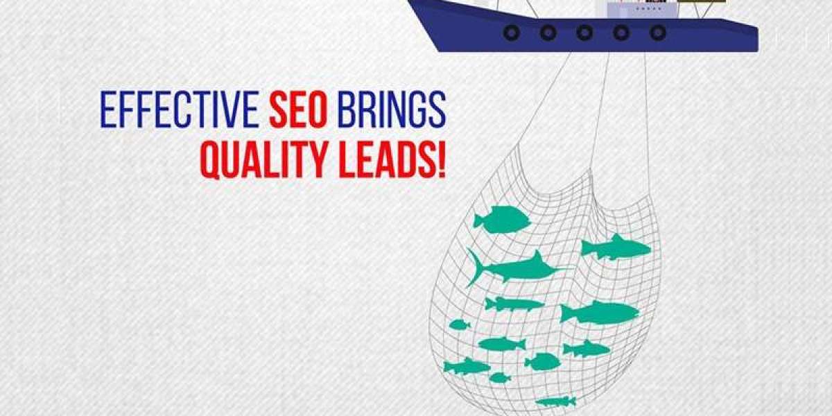 The Strategic Rise of SEO Agency in Noida