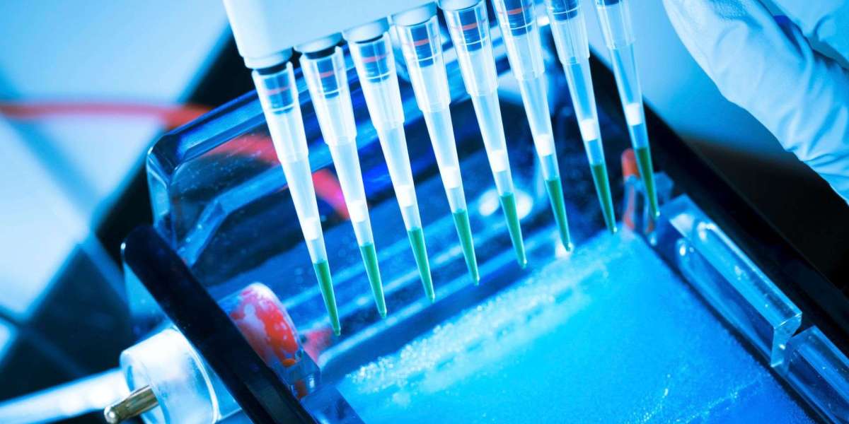 Europe Next-Generation Sequencing Market to Surpass US$ 12.95 Billion by 2032, Driven by Advancements in Genomics and Pe