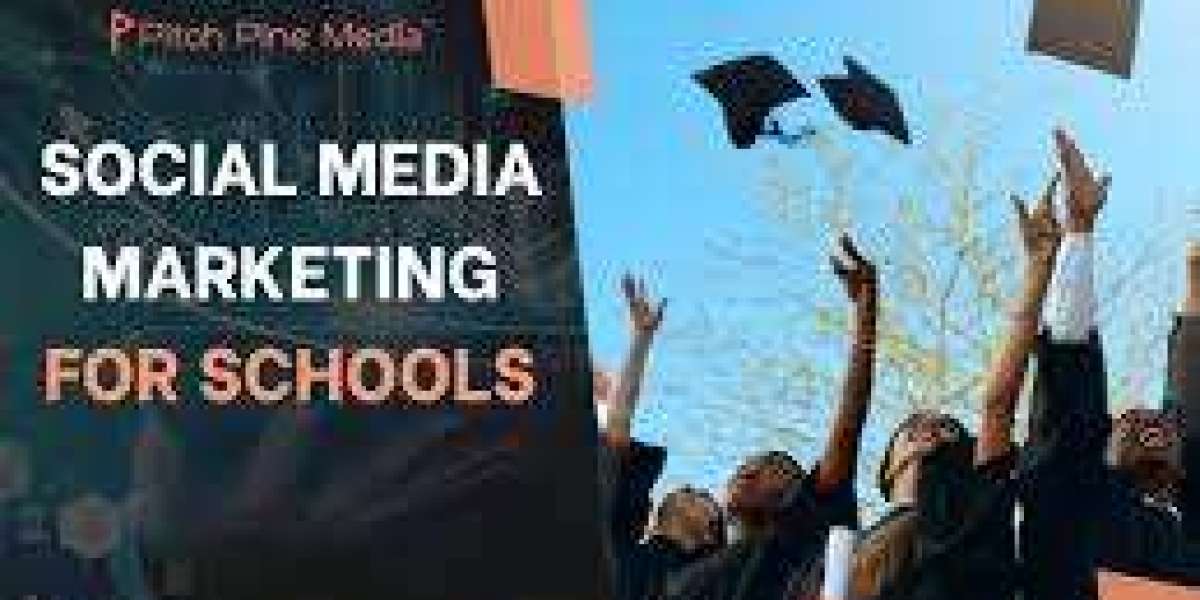 Empowering Schools in India with Digital Growth – Choose the Right Social Media Agency - Pitch Pine Media