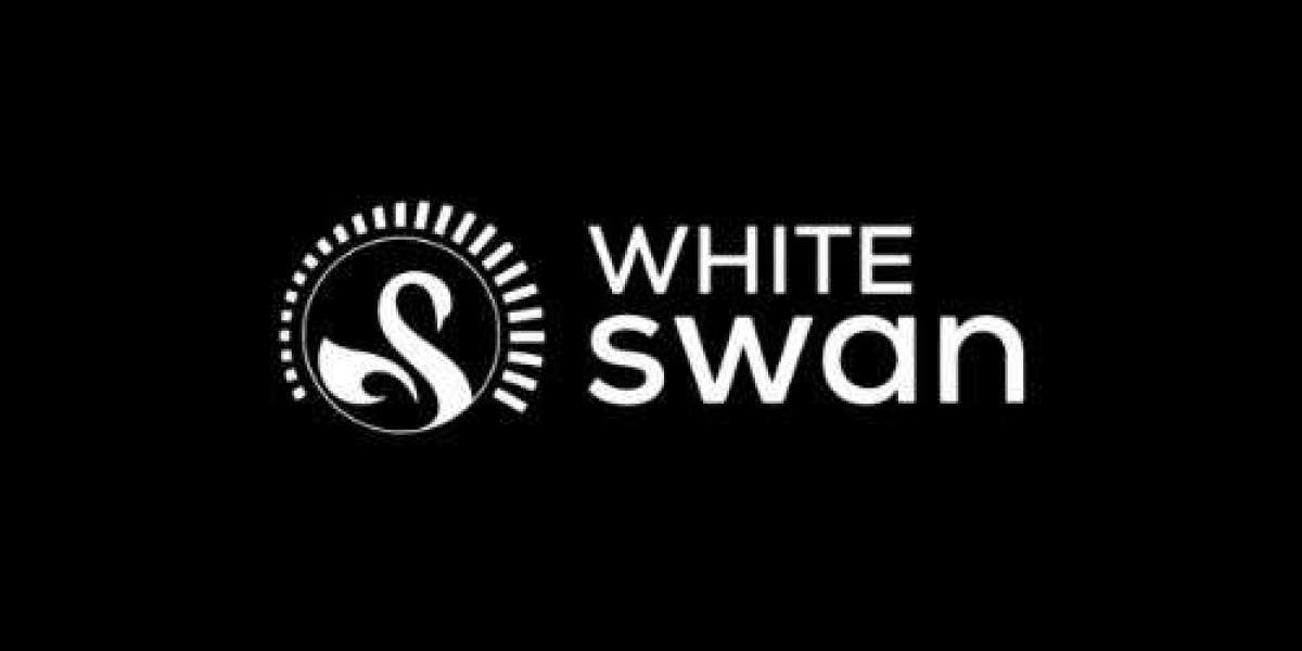 Best Gas stove - whiteswan