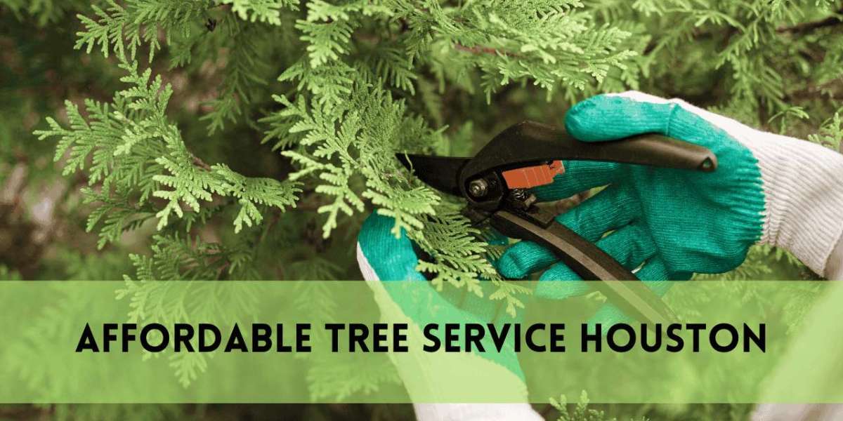 Affordable Tree Removal and Cheap Tree Trimming Service | Safe and Budget-Friendly Yard Care
