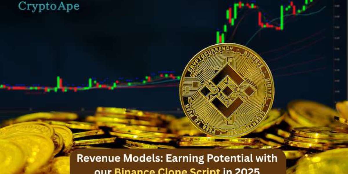 Revenue Models: Earning Potential with Our Binance Clone Script in 2025