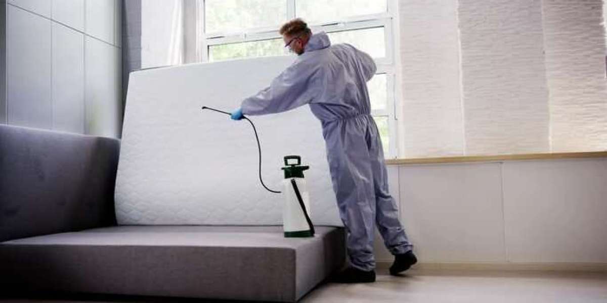 Say Goodbye to Sleepless Nights: Expert Bed Bug Control Company in Halton Hills