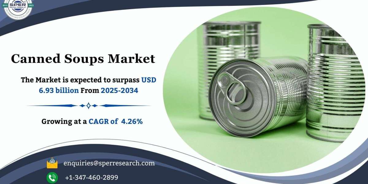 Canned Soups Market Share Breakdown and Outlook