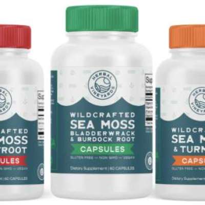 Daily Wellness Made Easy with Organic Sea Moss Capsules Profile Picture