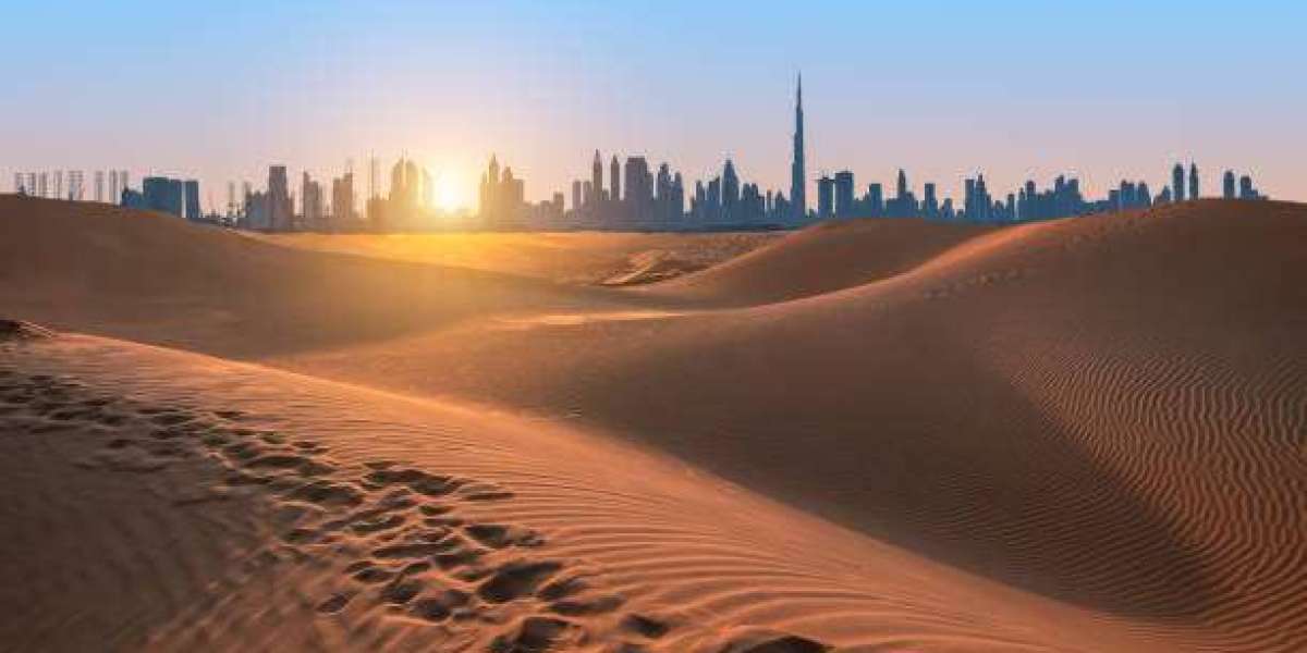 Wahiba Sands Desert Safari vs Other Oman Desert Tours