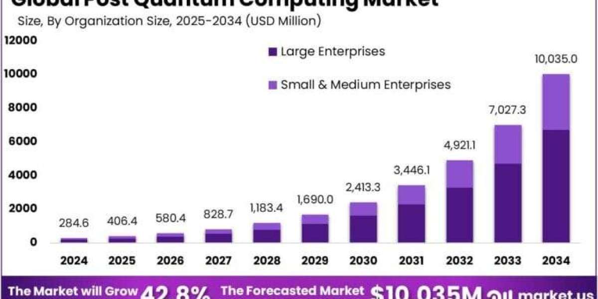 Post Quantum Computing Market size is expected to be worth around USD 10,035 Million