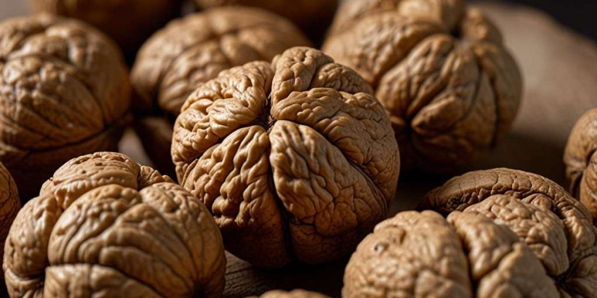Walnuts Price Index, Real-Time Price Fluctuations and Forecast