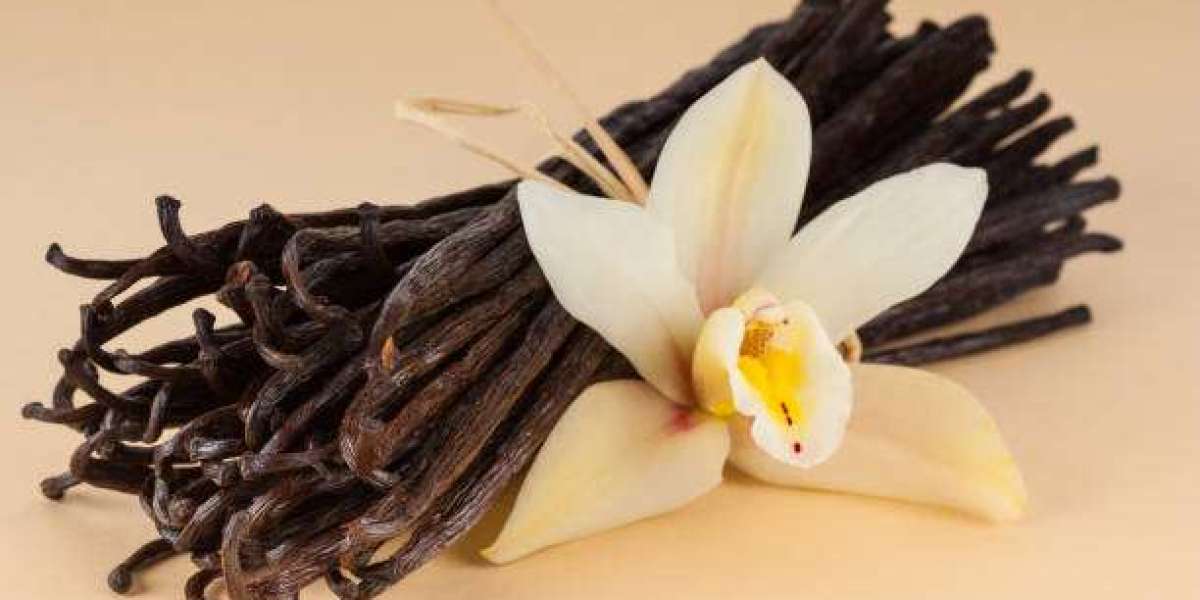 Vanilla Market Growth Projections: Size, Share, and Trends to 2032