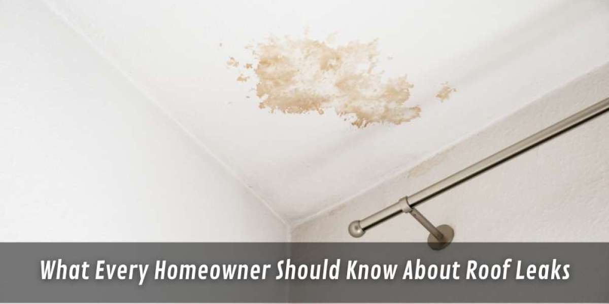 What Every Homeowner Should Know About Roof Leaks