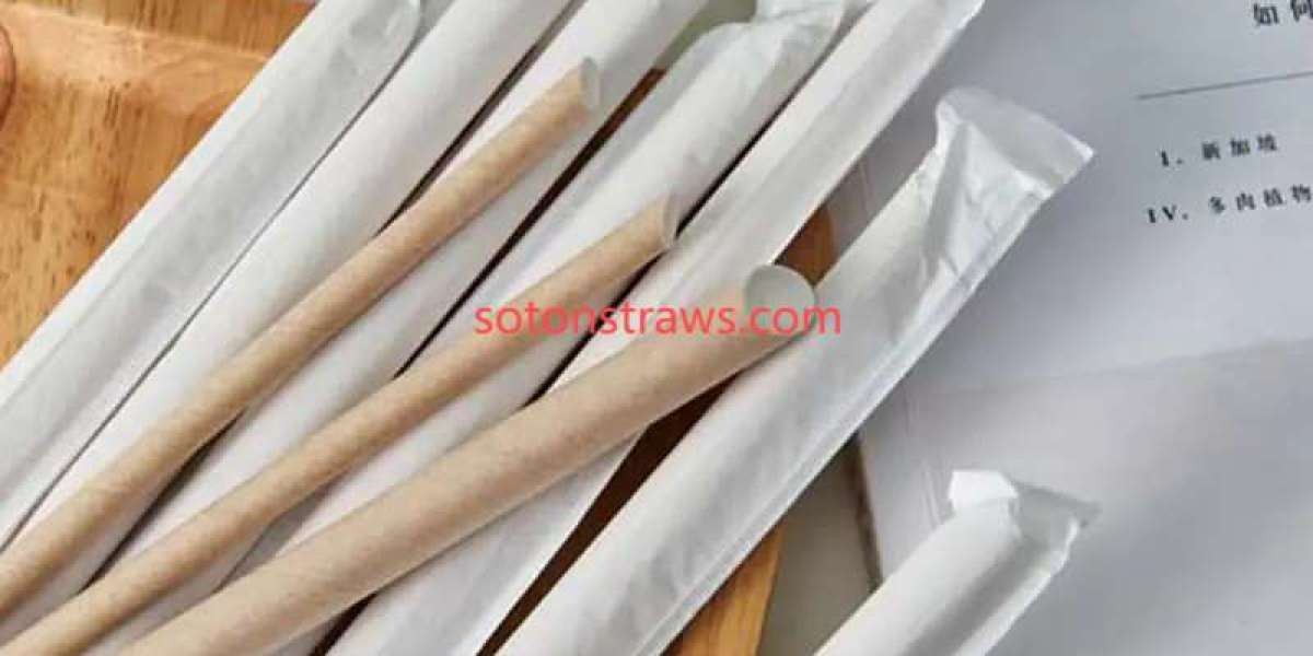 Soton's Straws Factory: Where Sustainability Meets Practicality