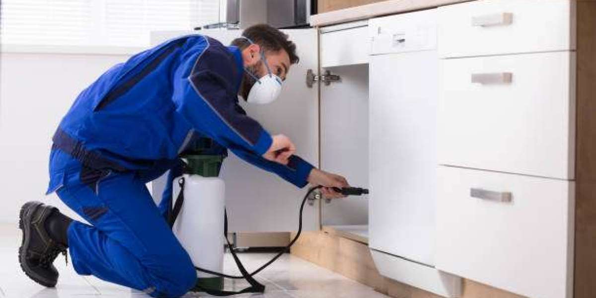A Step-by-Step Look at the Cockroach Control Process