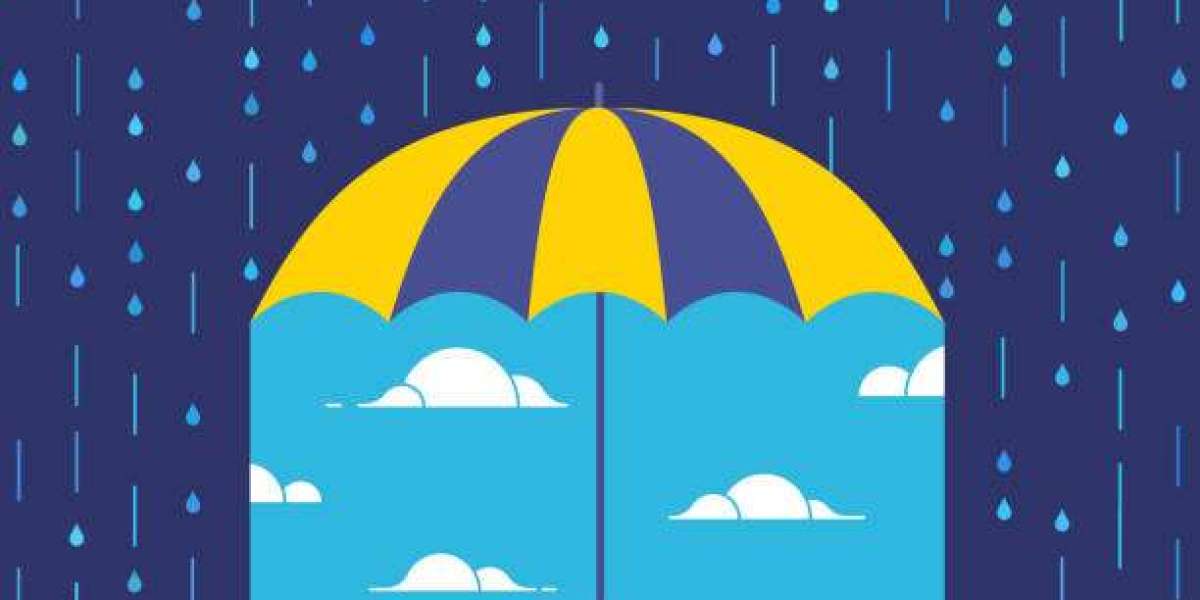 Why Hiring a Local Roofing Company in Bellingham Makes All the Difference