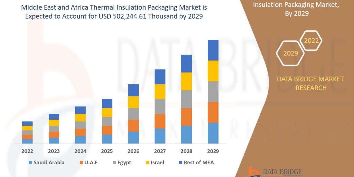 Middle East and Africa Thermal Insulation Packaging Market  Size, Status and Industry Outlook During 2029