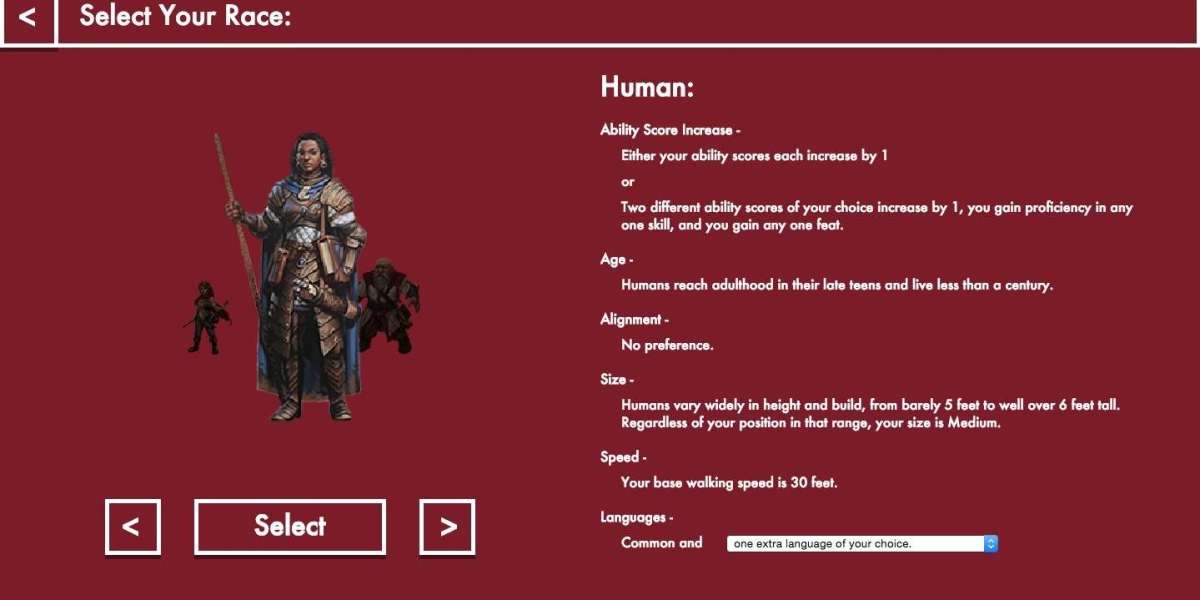 DND Character Creation Tips For Beginners