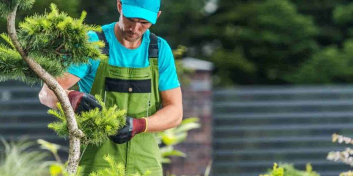 Tree Care Services: The Ultimate Guide to Healthy, Beautiful Trees
