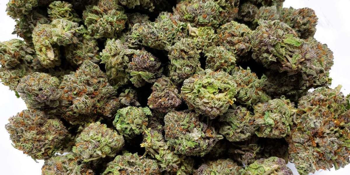 How Bulk Buddy Is Changing the Game for Bulk Cannabis Buyers