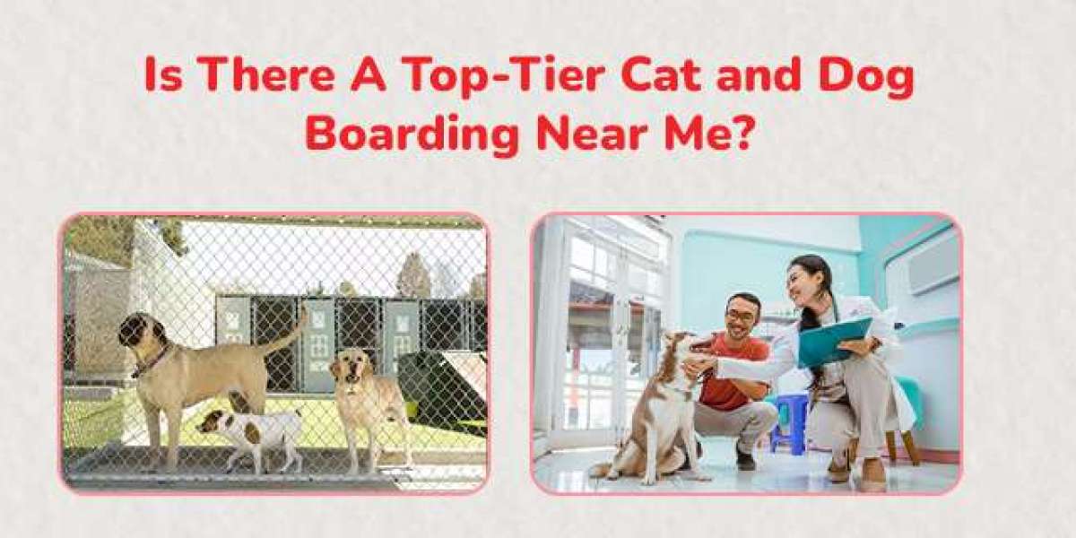 Dog Boarding Near Me | CGS Hospital